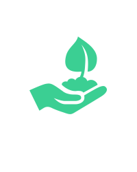 Seed Partner